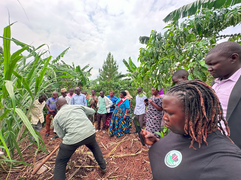Nabingoola Women Coffee Cooperative Society Ltd